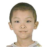 公司团队